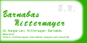 barnabas mittermayer business card