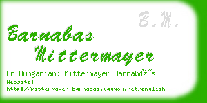 barnabas mittermayer business card